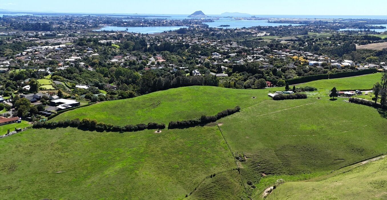 120-and-125-Upper-Ohauiti-Road,-Ohauiti-1356x700.jpg