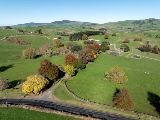 Whakanui-Farms,-24-Waterworks-Road,-Morrinsville---1.jpg